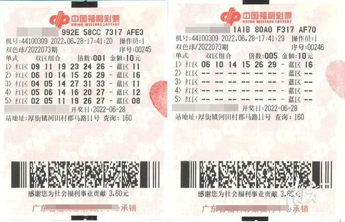 2024新澳天天开彩正版资料|专家解答解释落实_冒险版Eleme.8.254