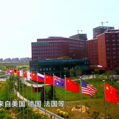 今晚开什么特别号码1|权威数据解释落实_应用款.9.218
